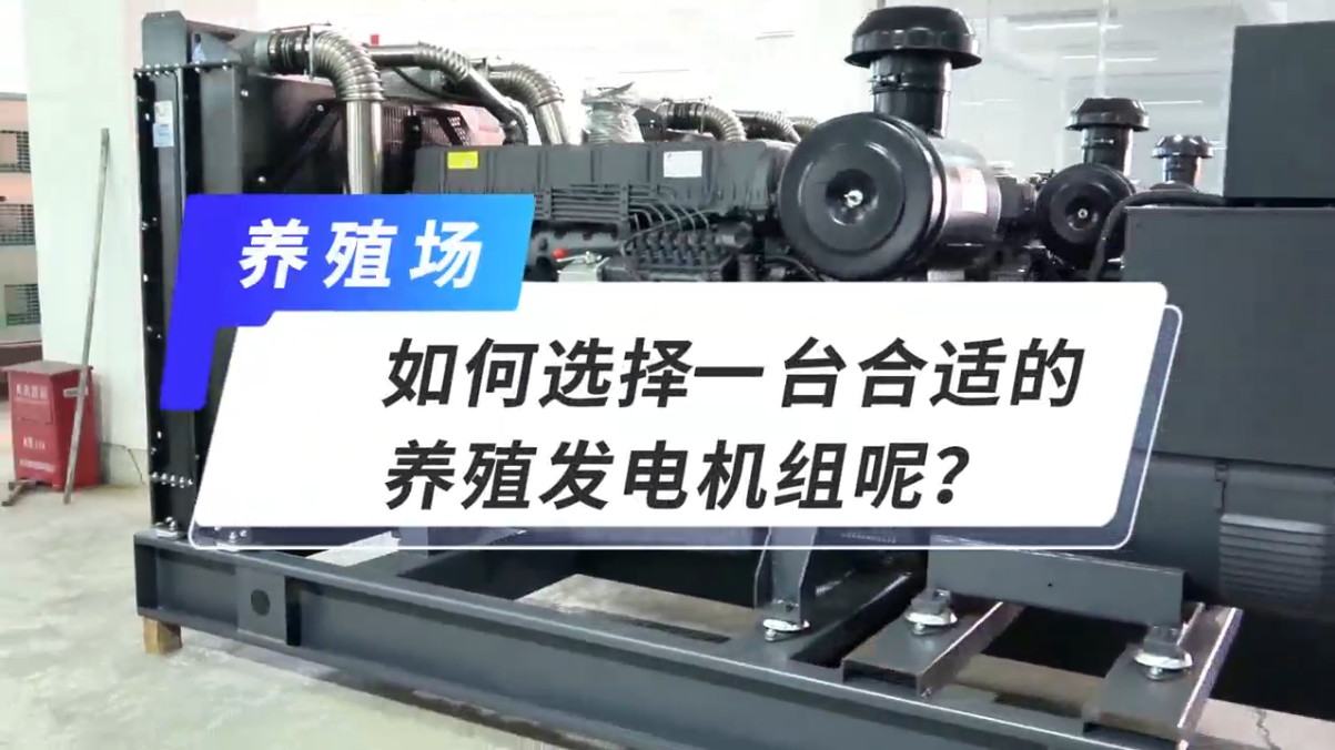 「視頻」如何選擇一臺合適的養(yǎng)殖發(fā)電機(jī)組呢？