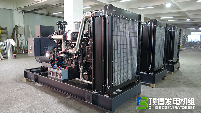 250kw上柴 (3) 拷貝.jpg